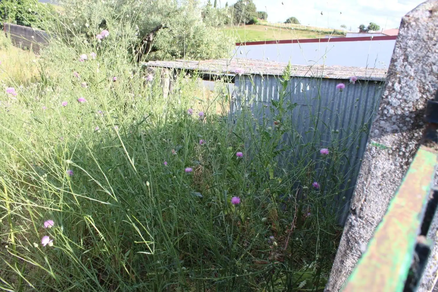 Terreni e lotti in vendita a Sierra de Fuentes