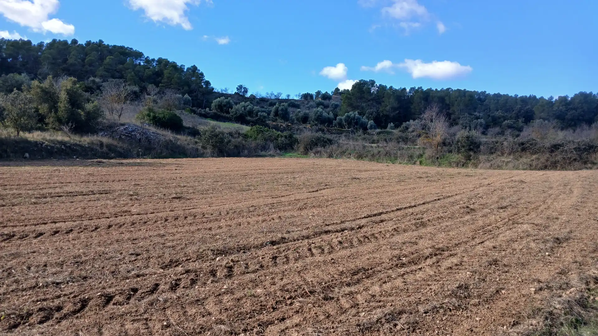 Terreni e lotti in vendita a Lledó, imagen 13