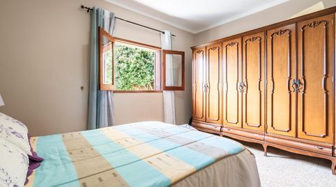 Photo 3 of Country homes for sale in Calle Calle Mocán, 2, Los Blanquitos, Granadilla de Abona