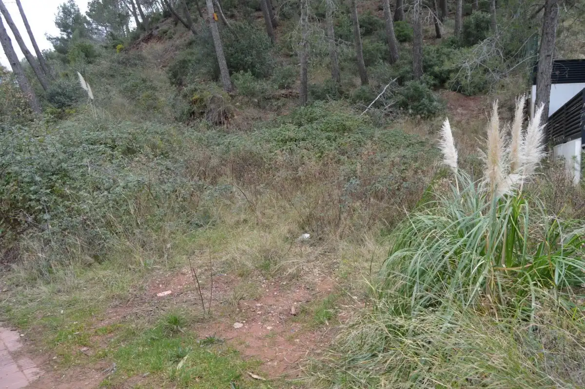 Terreni e lotti in vendita a Corbera de Llobregat, imagen 30