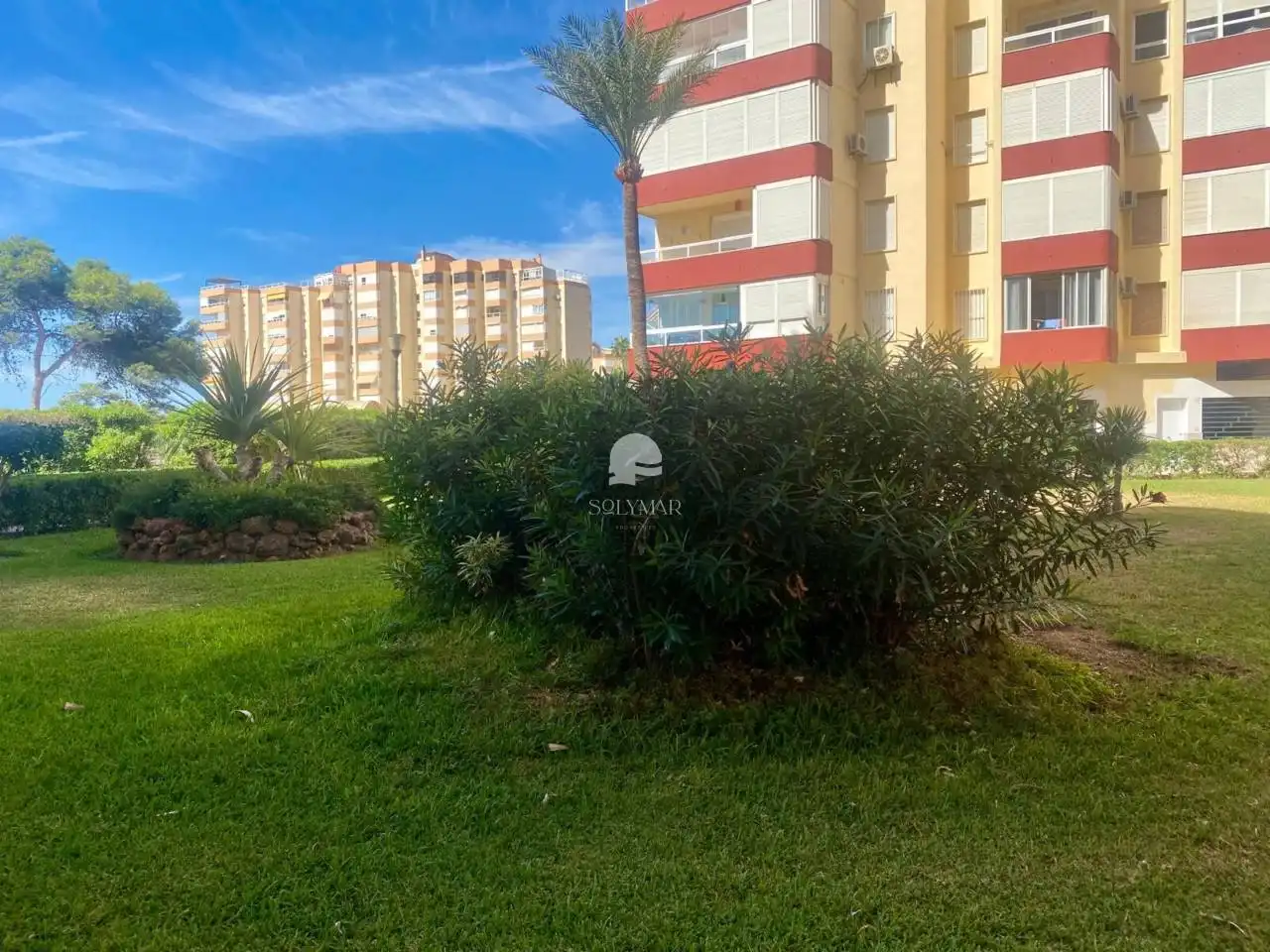 Estudio de alquiler en Avenida García Peñalver, Centro Internacional
