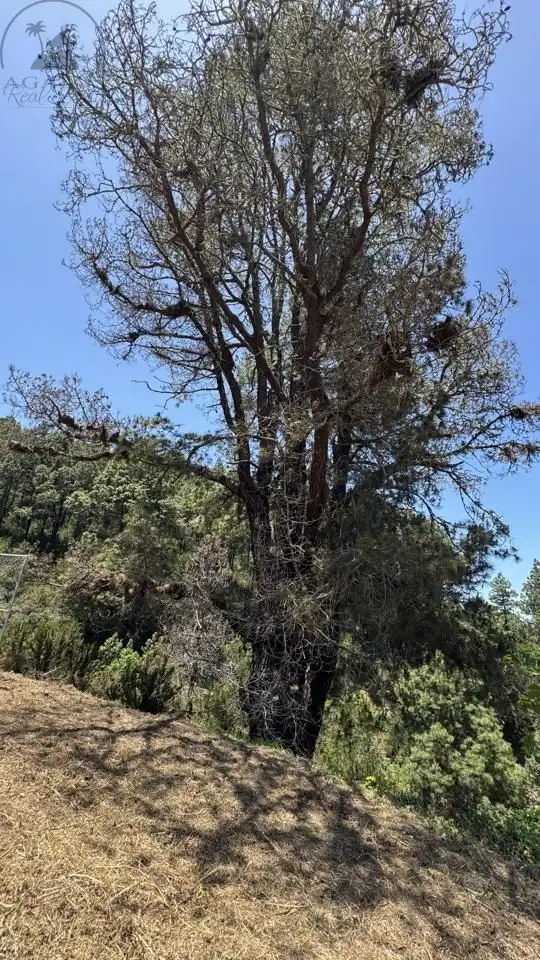 Lands and plots for sale in La Peña 1, imagen 6