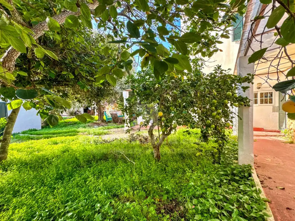 Jardín de Casa o chalet en venta en Maó - Mahón con Aire acondicionado, Calefacción y Jardín privado