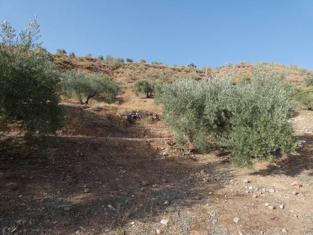 Terreno en Venta en Calle Cuesta del Almendral en Calicasas