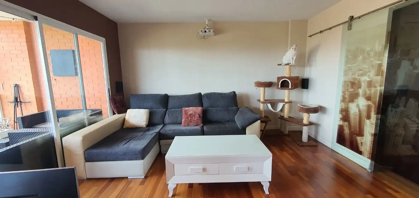 Living room of Flat for rent in Alicante / Alacant  with Heating, Private garden and Terrace