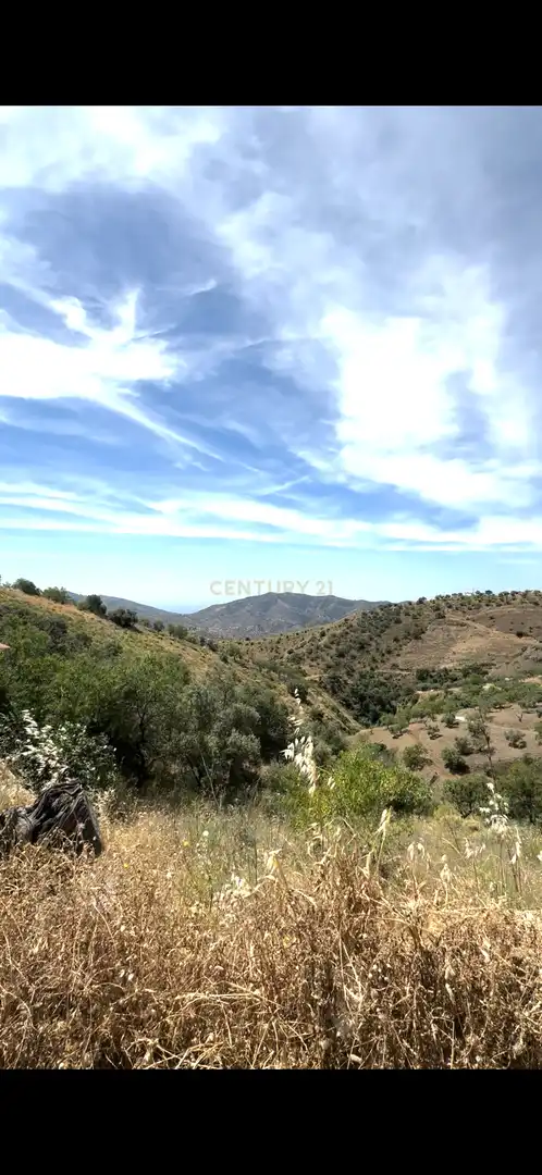 Exterior view of Land for sale in Sedella