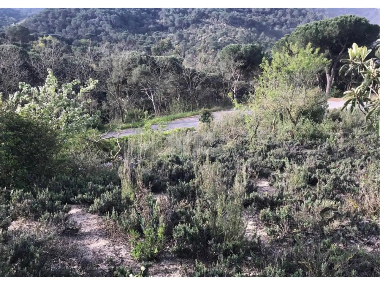 Rural land for sale in Vilanova del Vallès, imagen 12