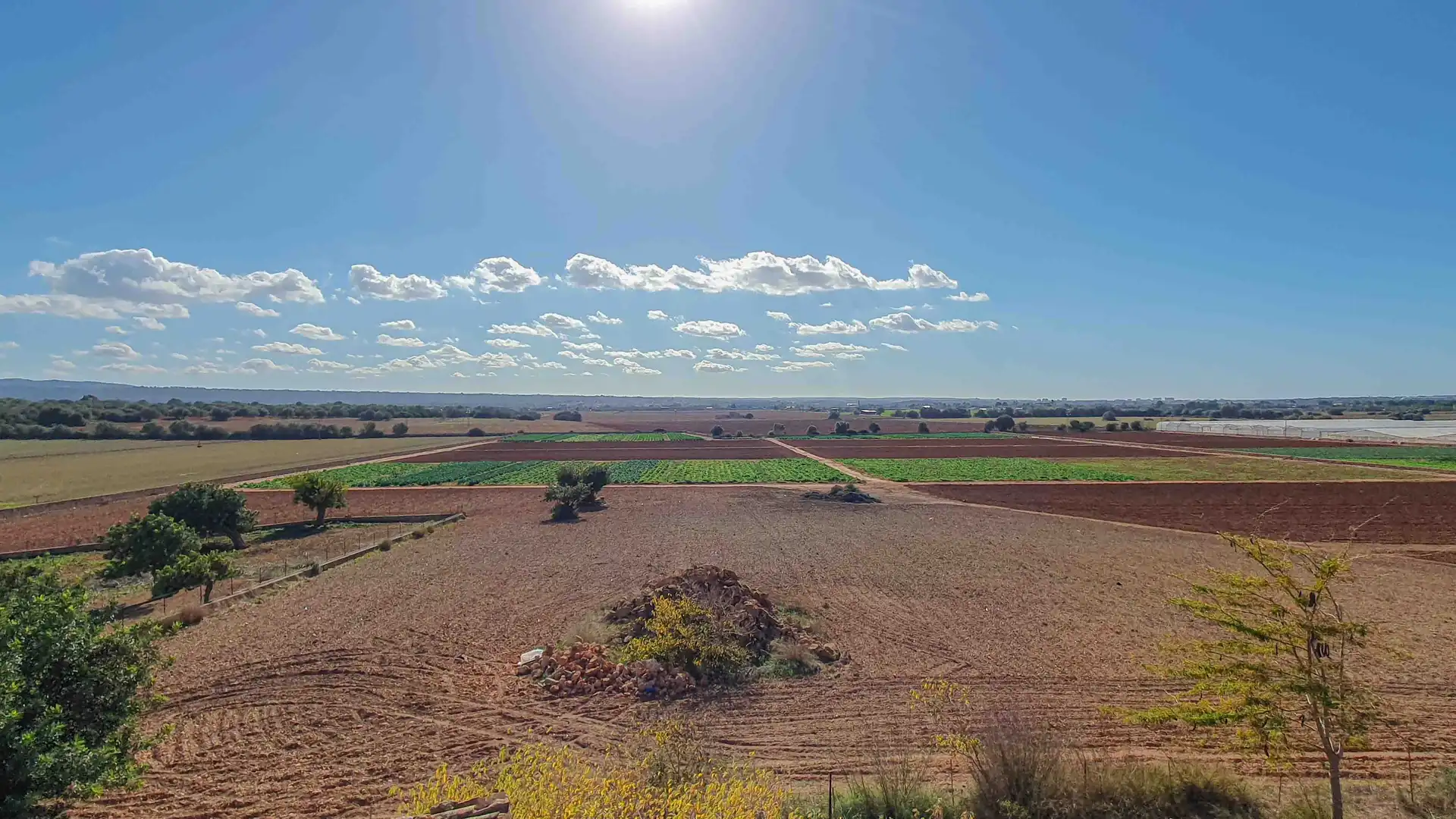 Finca rústica en venda en  Palma de Mallorca amb Jardí privat, Terrassa i Traster