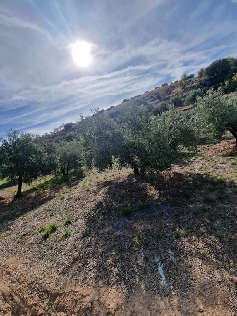 Maison rustique avec jardin à vendre à Cogollos de la Vega, imagen 52