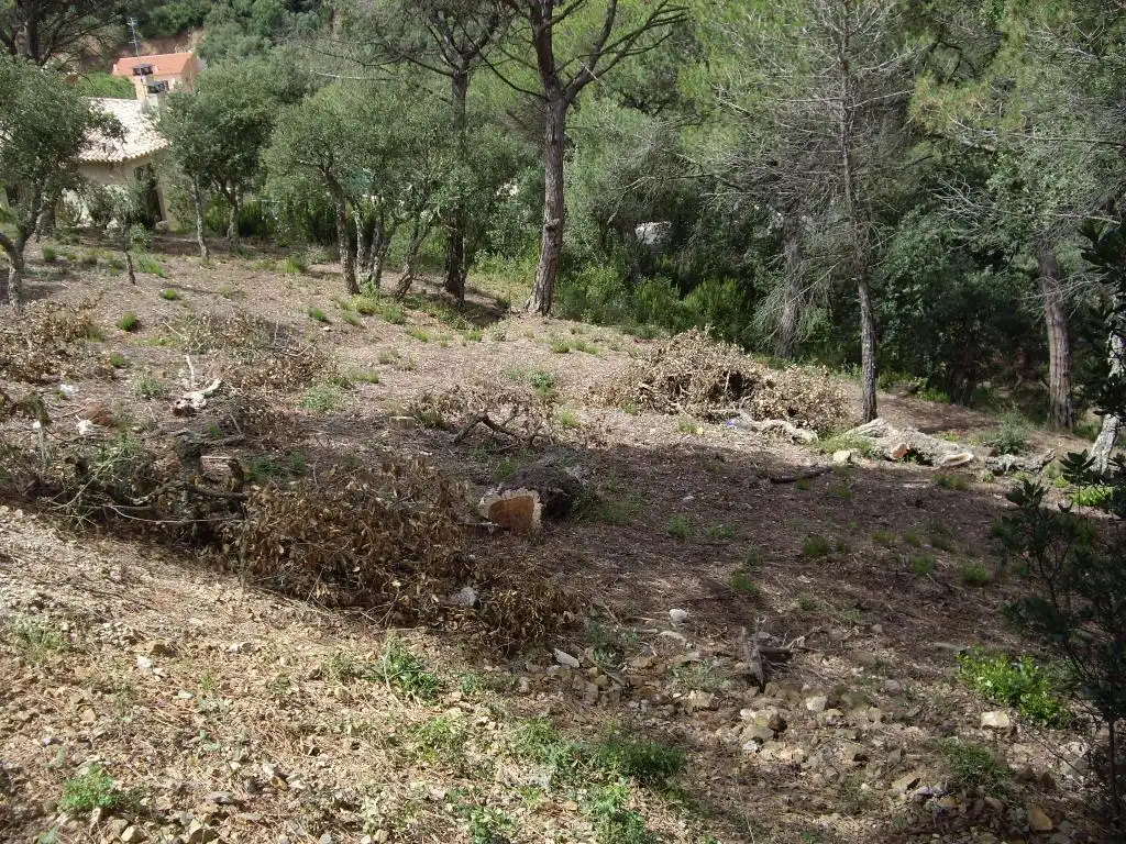 Terrain résidentiel à vendre à Alzina, imagen 7