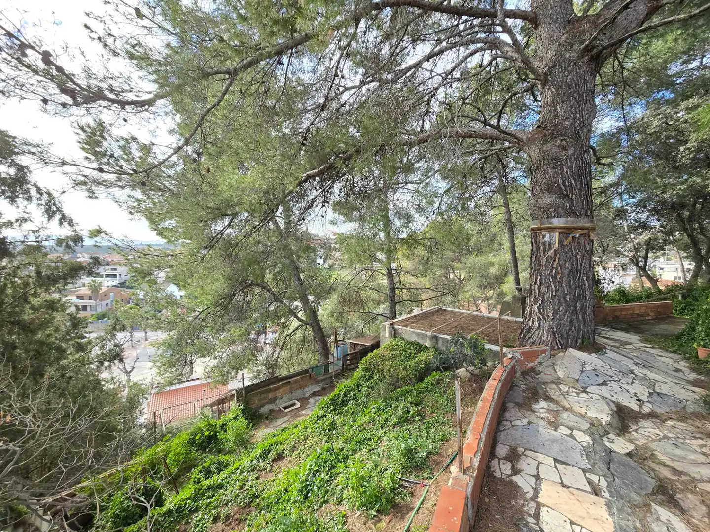 Haus oder Chalet zum Verkauf in Sant Esteve Sesrovires