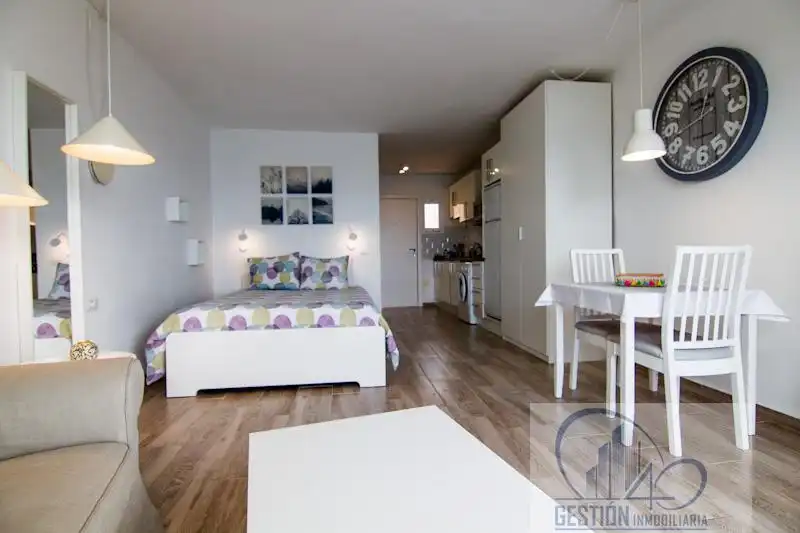 Study for sale in San Felipe - San Marcos - Las Cañas