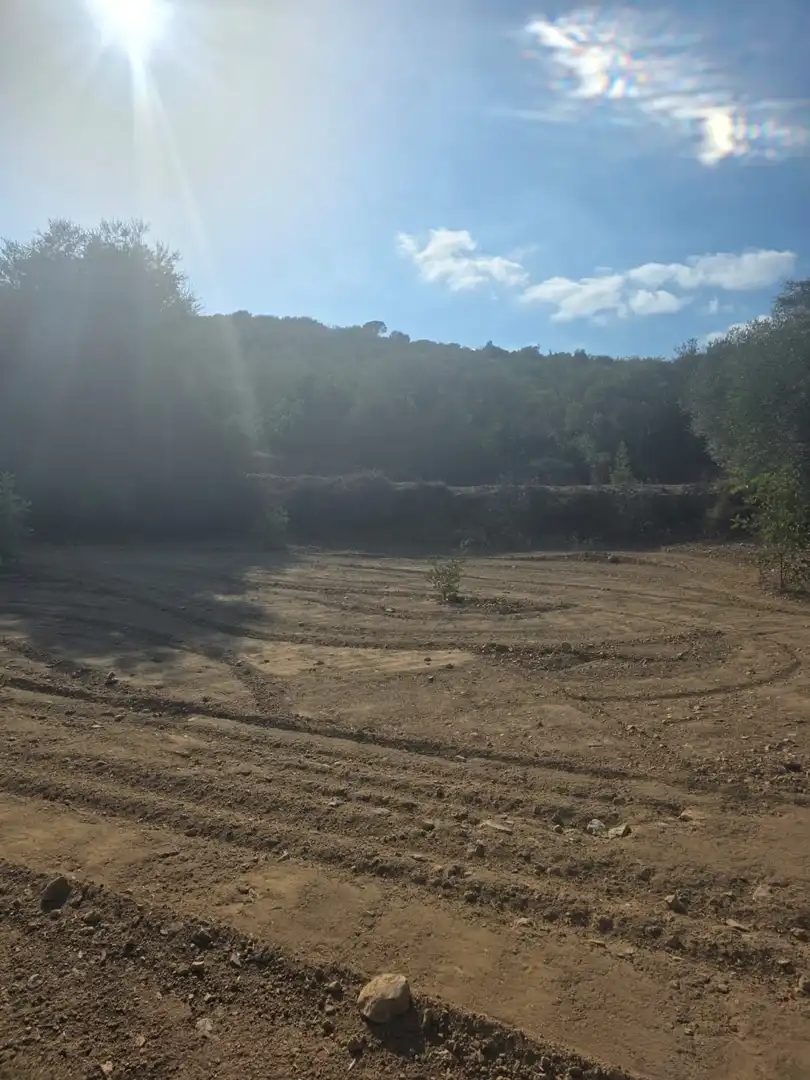 Terreno rústico en venta en Mas de Barberans, imagen 14