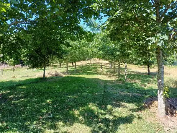 Casa con jardín en venta en PO-9202, imagen 42