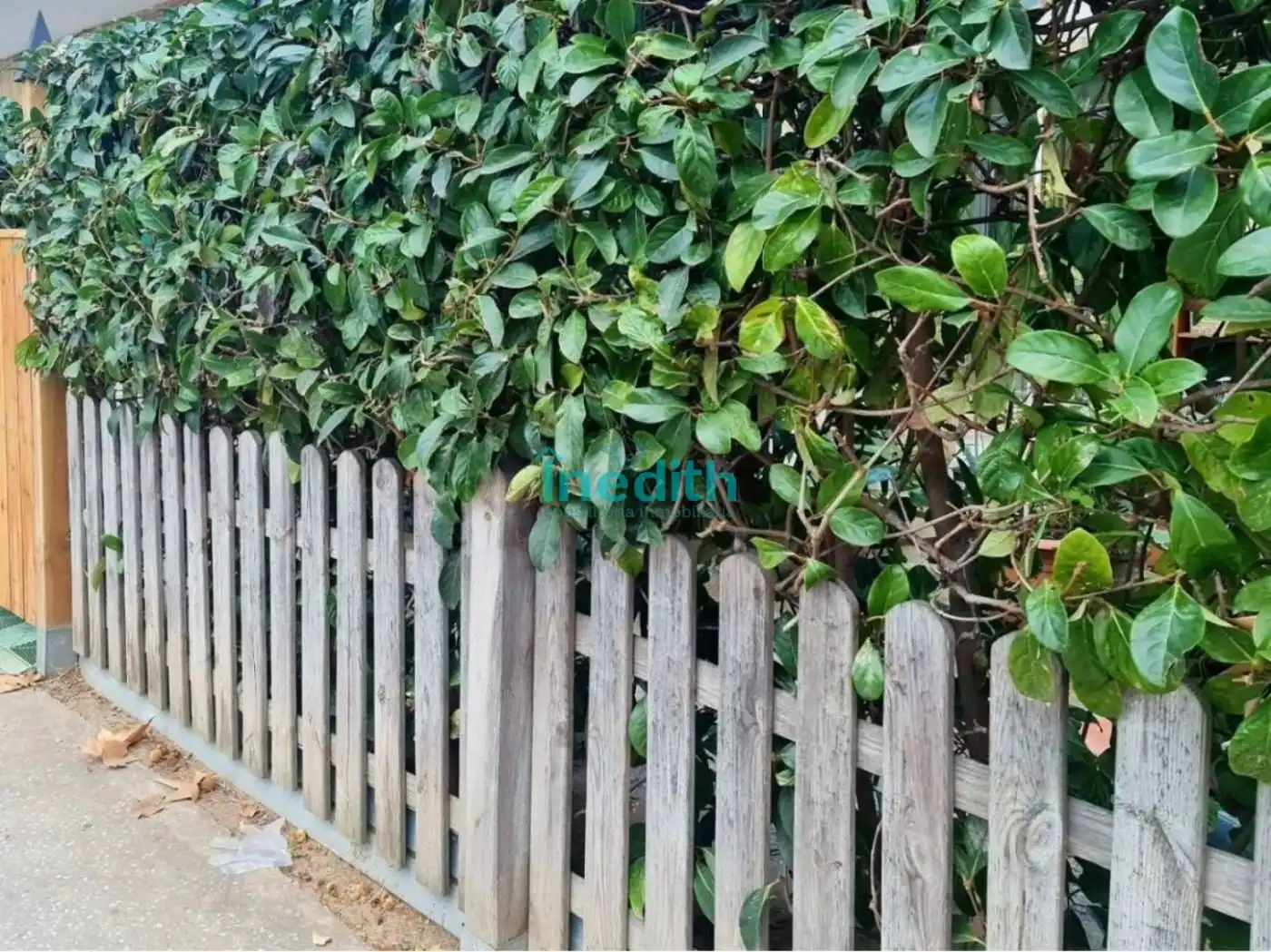 Jardín de Local en venta en Castelldefels con Terraza