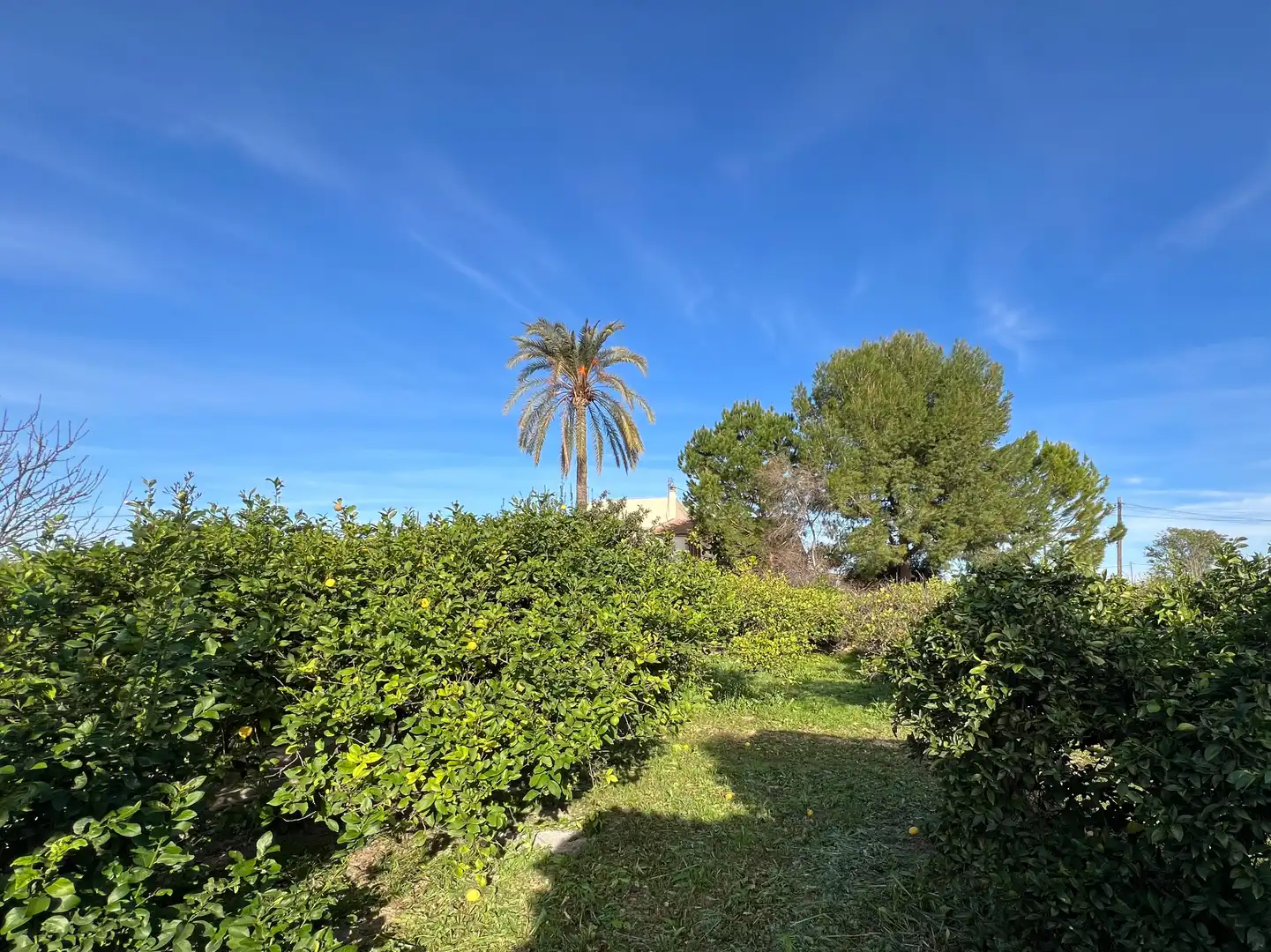 Casa o xalet en venda en Murcia amb Aire condicionat, Calefacció i Jardí privat