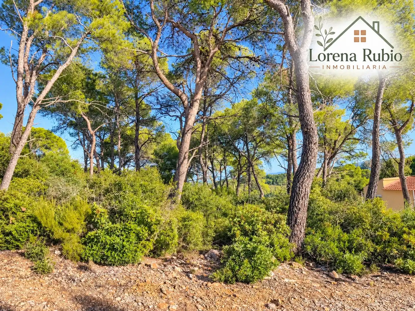 Terreno residencial en venta en La Bisbal del Penedès, imagen 3