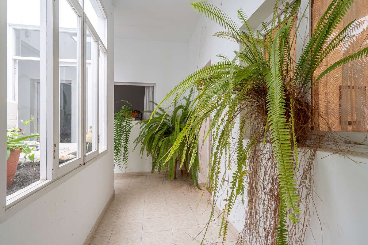 House or chalet for sale in San Bartolomé