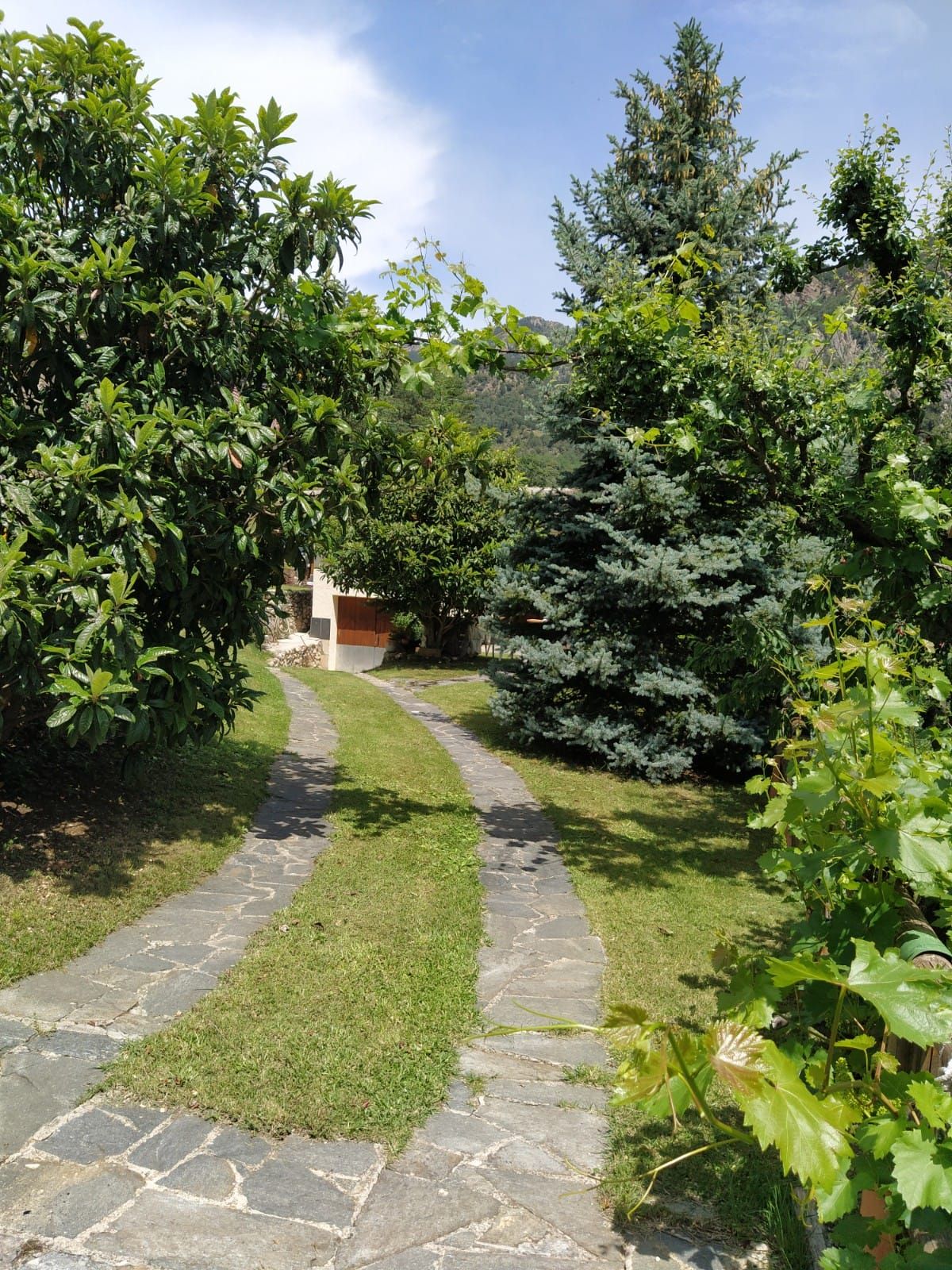 Garden of House or chalet for sale in La Coma i la Pedra  with Heating, Private garden and Furnished