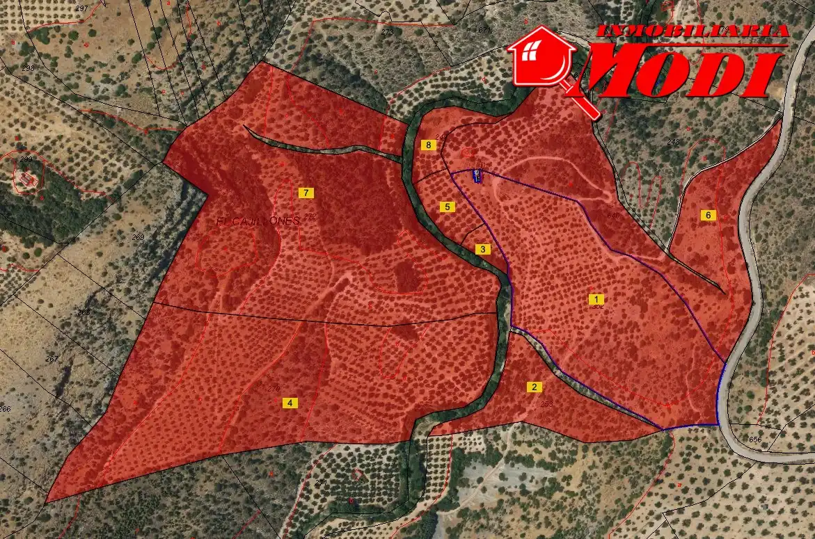 Terreni e lotti in vendita a Padul