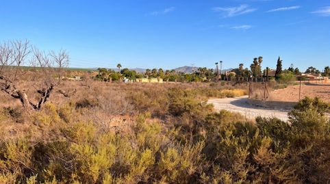 Foto 4 de Terreny en venda a Partida Peña Aguilas, 3030, Peña de las Águilas, Elche / Elx
