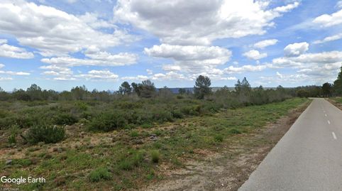 V14963 FINCA AGRICOLA SIN CULTIVAR, OPCIÓN REGADÍO Y VIVIENDA, immagine 4