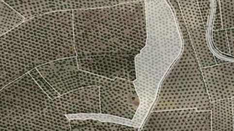 Foto 5 von Grundstücke zum Verkauf in Bujalance, Córdoba