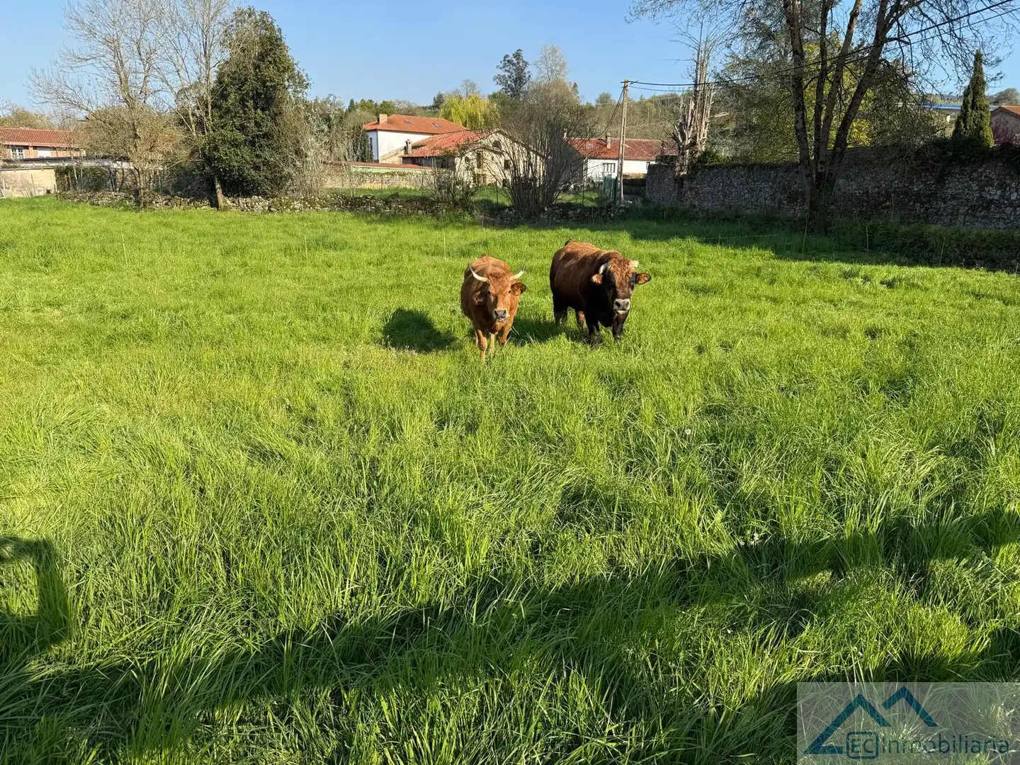 Terreni e lotti in vendita a Muriedas, imagen 4