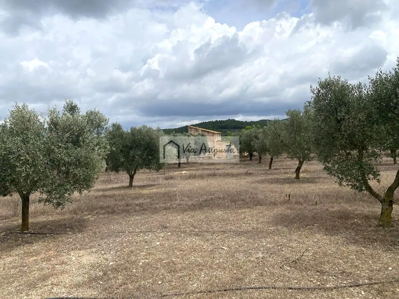 Terreno rustico in vendita a Burga, imagen 15
