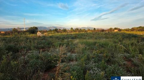 Photo 3 of Land for sale in Carretera de Vora Riu del Secà, 631, Les Boqueres - Santa Quiteria, Castellón