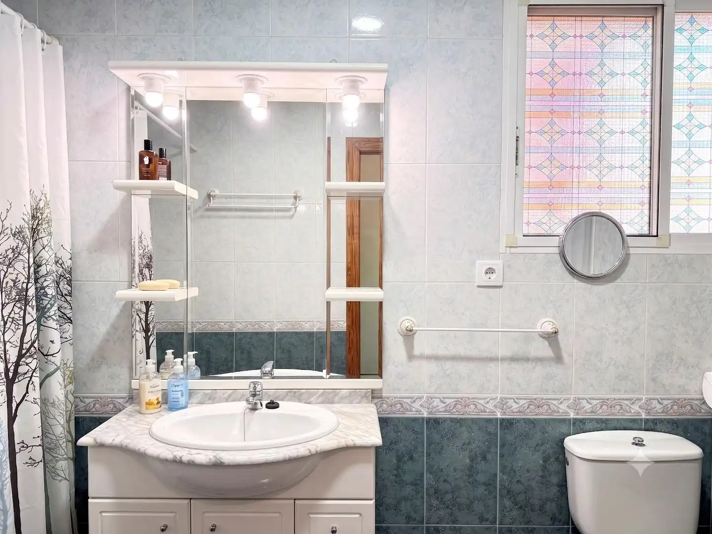 Baño de Casa o chalet en venta en Ceutí con Aire acondicionado, Calefacción y Jardín privado