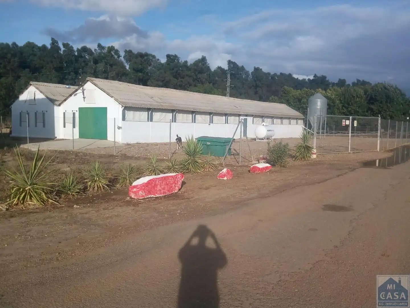 Vista exterior de Finca rústica en venta en Lobón