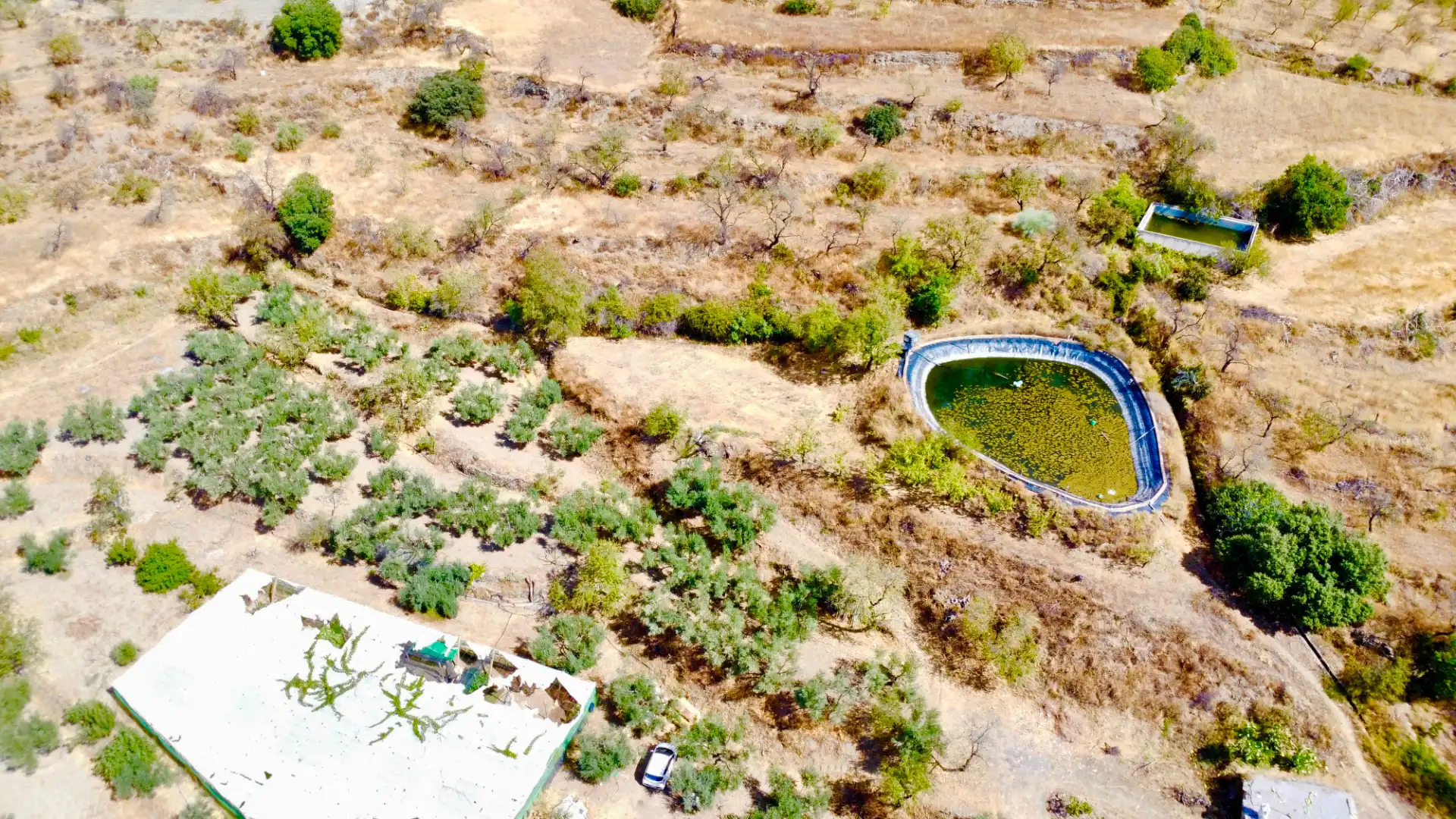 Terreno rustico in vendita a N/A, imagen 17