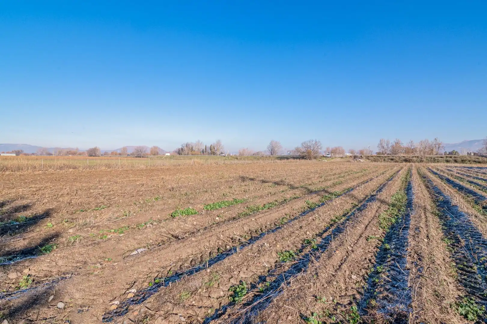 Lands and plots for sale in Carretera Polígono 9 Paraje 61 MARACHAT, 47, 18001, Granada, imagen 19