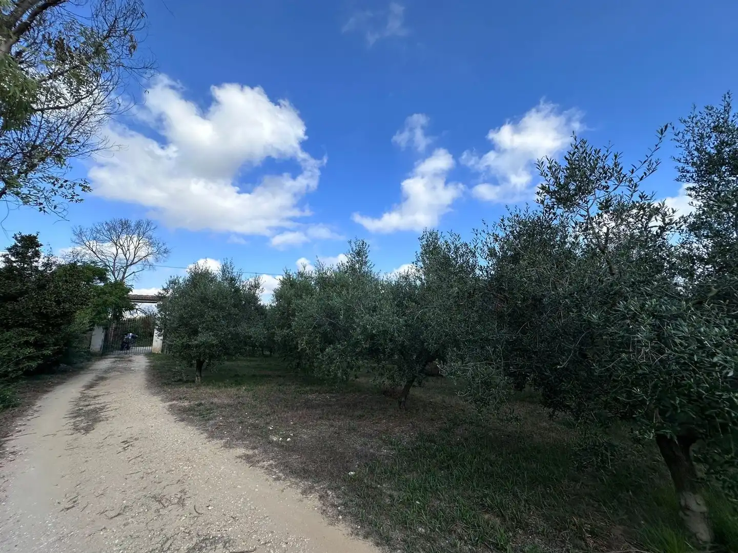 Flat with pool for sale in Font Dhorta-Clariana, imagen 26