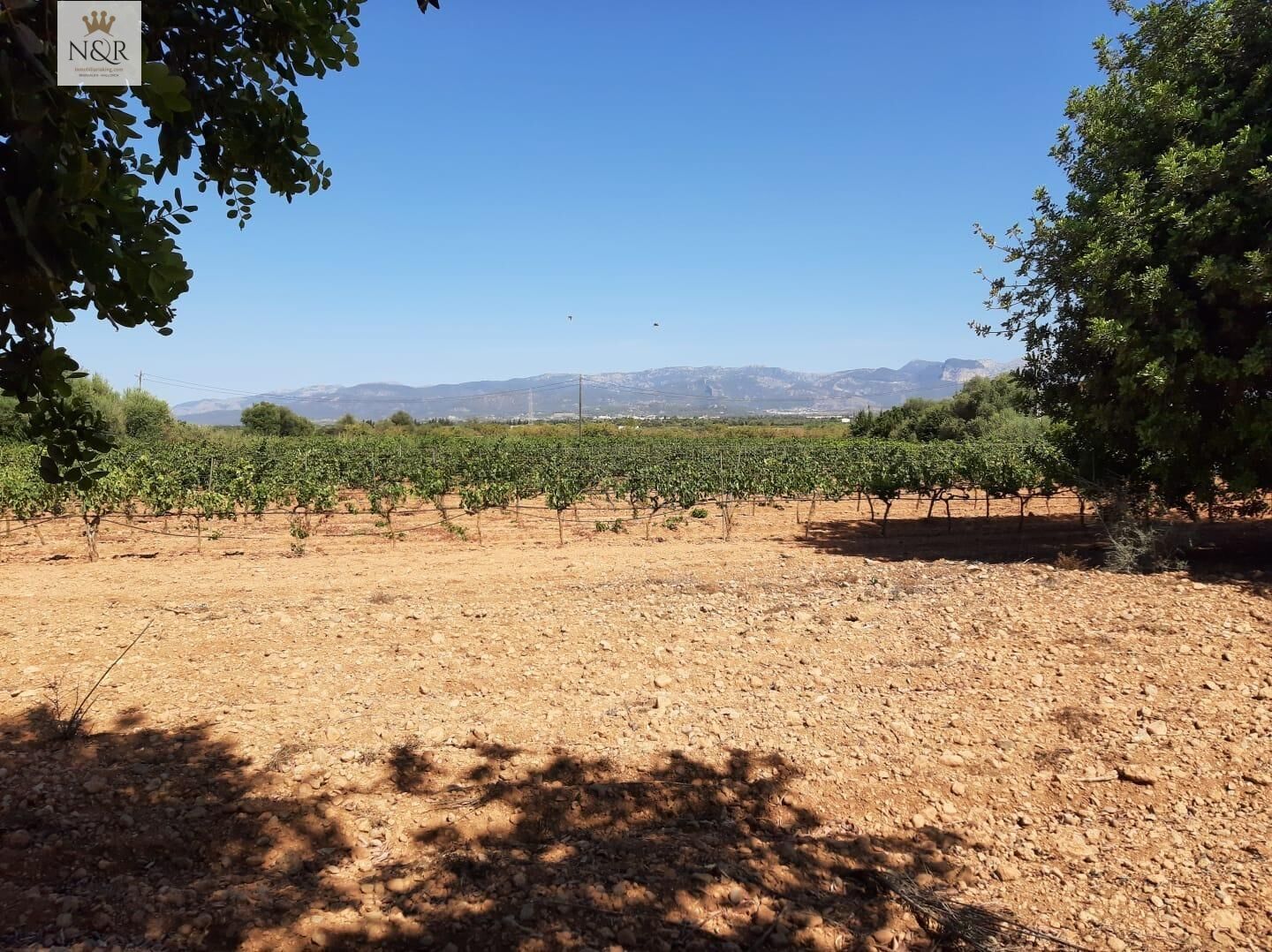 Finca rústica en venda en Sencelles