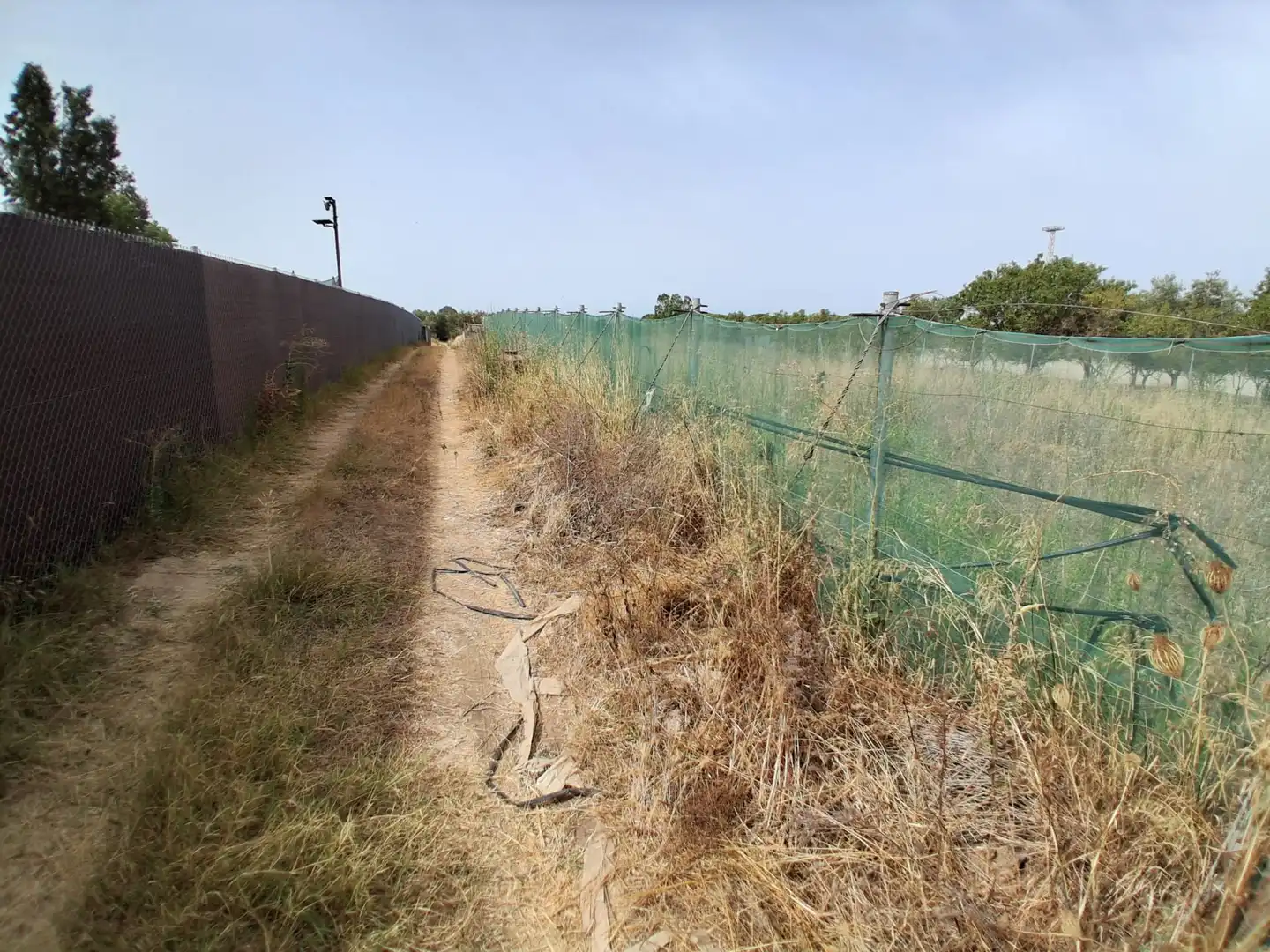Residential land for sale in Pinar de la villa, imagen 11