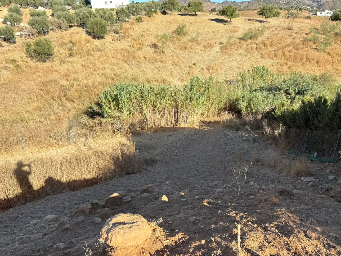 Terreno rustico in vendita a Camino Cuesta del Palmar, imagen 10