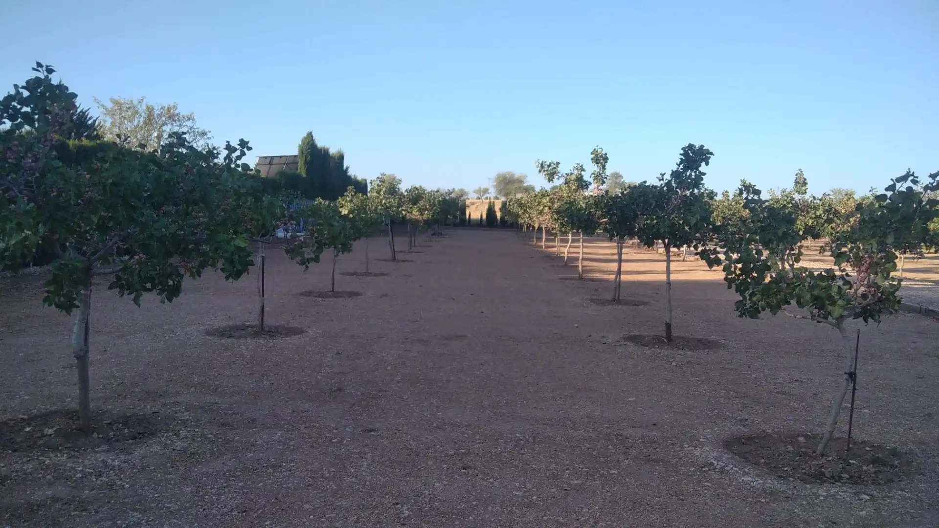Casa o xalet en venda en Ciudad Real amb Calefacció, Jardí privat i Traster