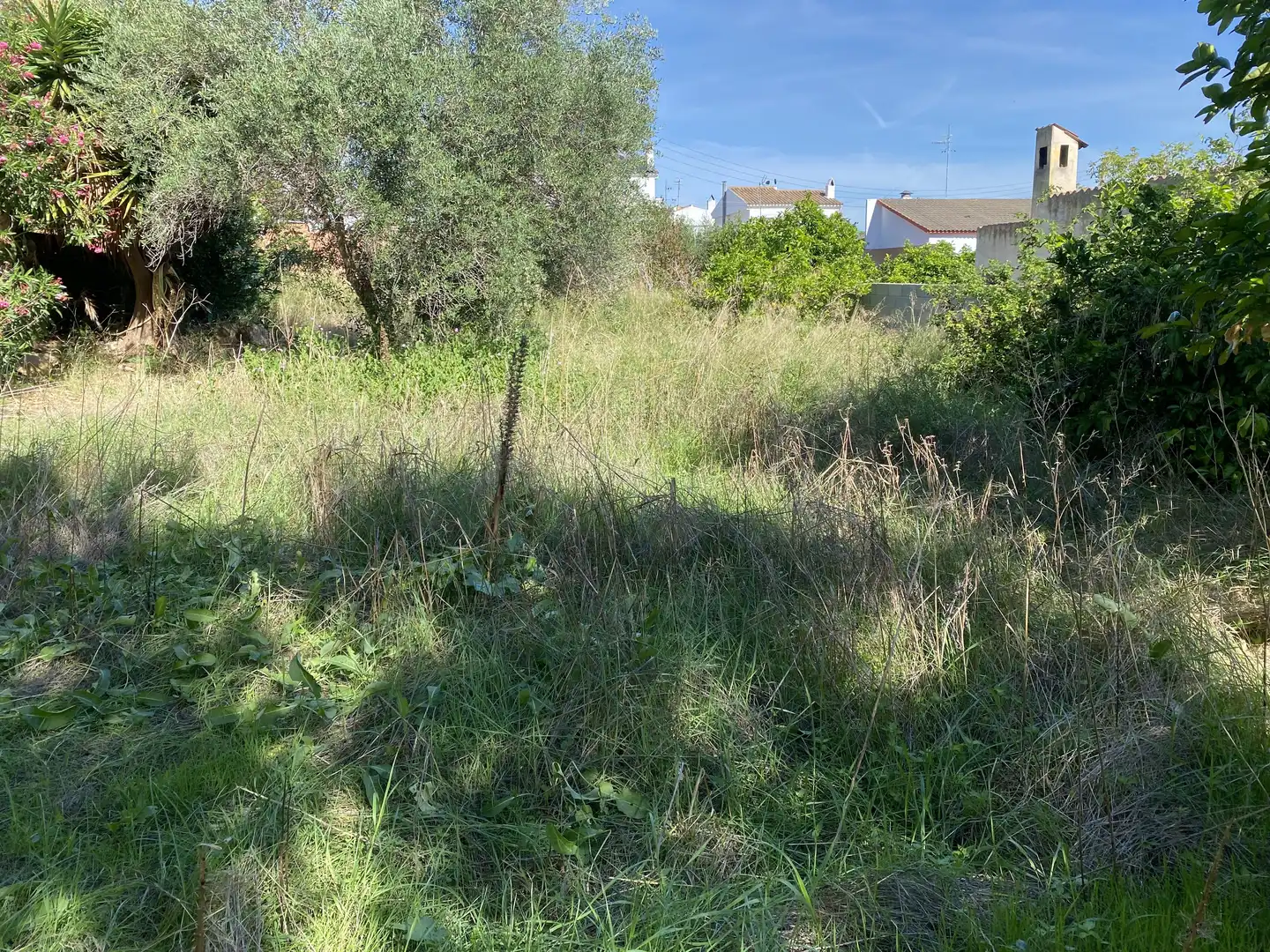 Terreno residencial en venta en Albinyana, imagen 7