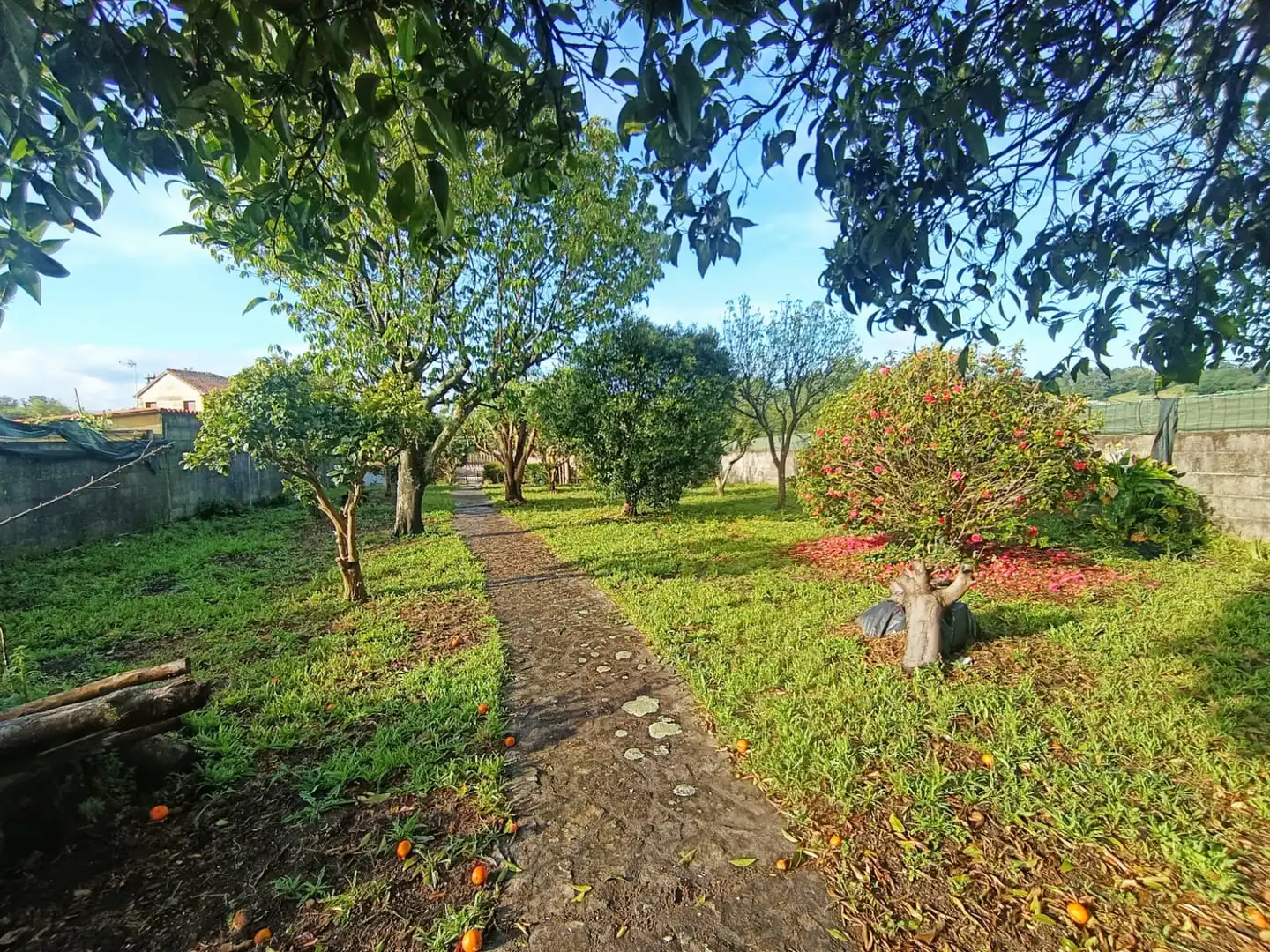 Jardí de Casa o xalet en venda en Cambados amb Calefacció, Terrassa i Traster