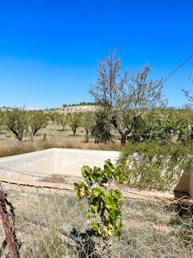 Residential land for sale in Vélez-Rubio, imagen 9