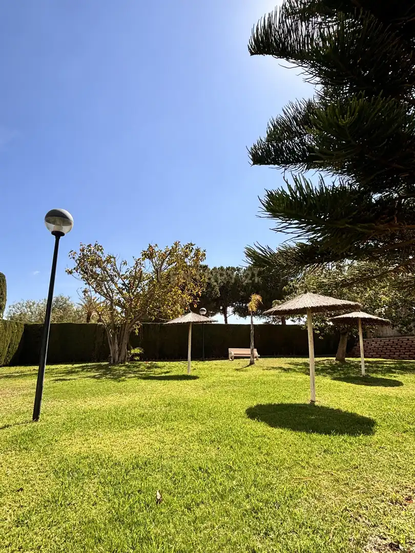 Apartment with terrace to rent in Avenida Rosa de los Vientos, 16, Calp, Spain 16, imagen 39