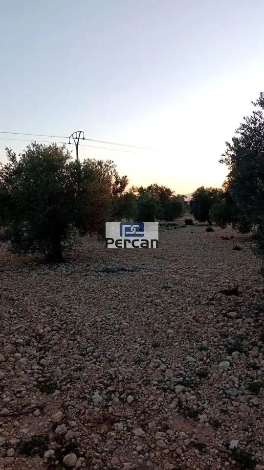 Terrenos y solares en venta en Mariscal, imagen 6
