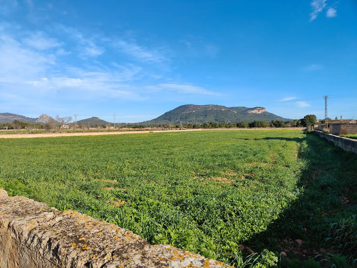 Terreno en venta en Llucmajor