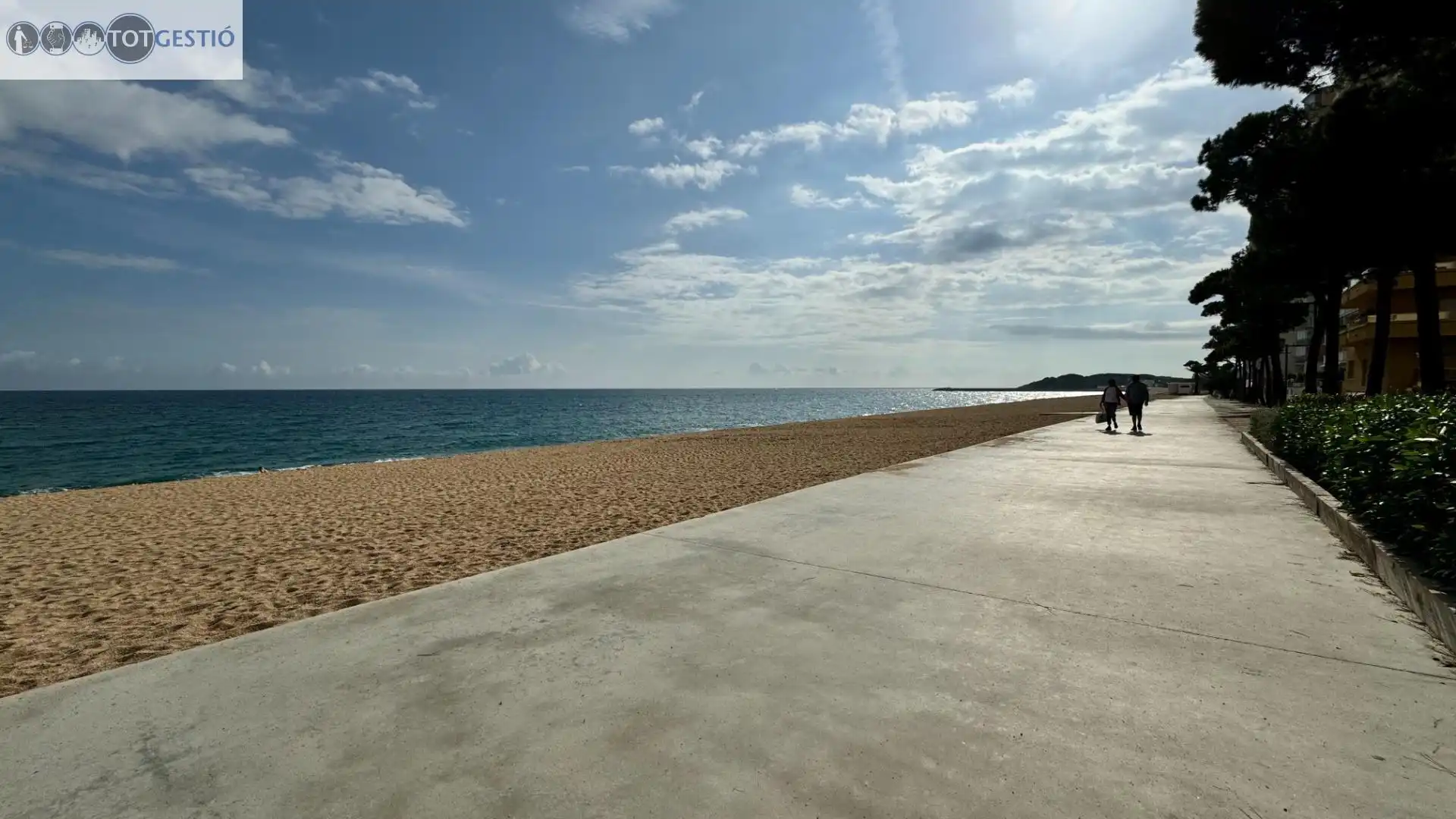 Local comercial en venta en Passeig Passeig MARITIM, imagen 29