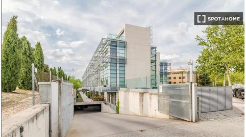 Photo 3 of Apartment to share in Europolis, Las Rozas de Madrid