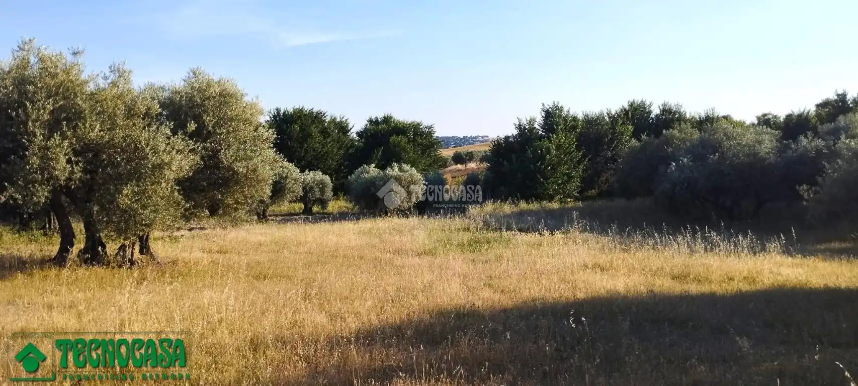 Terreni e lotti in vendita a Méntrida, imagen 8