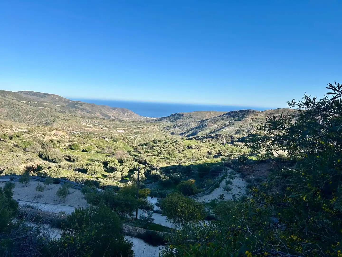 Vista exterior de Terreno en venta en Felix