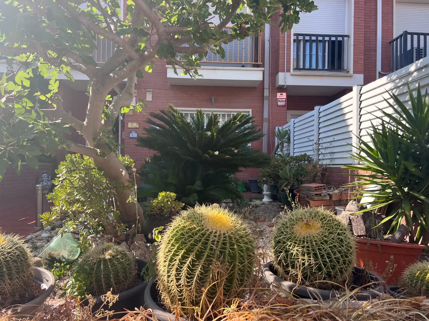 Jardí de Casa adosada en venda en Premià de Mar amb Calefacció, Jardí privat i Terrassa